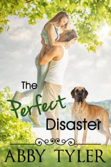The Perfect Disaster Read online