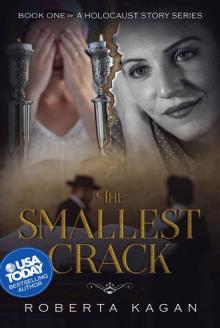 The Smallest Crack Read online
