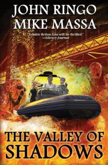 The Valley of Shadows - eARC