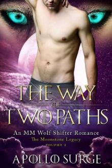 The Way of Two Paths: M/M Wolf Shifter Paranormal Romance (The Moonstone Legacy Book 2) Read online