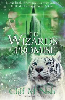 The Wizard's Promise Read online