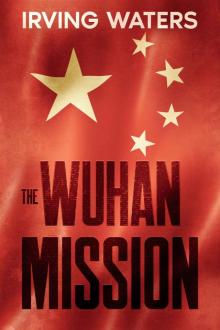The Wuhan Mission Read online