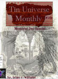 Tin Universe Monthly #16b 2014 Memorial Day Special Read online
