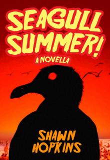 Seagull Summer: A Novella Read online