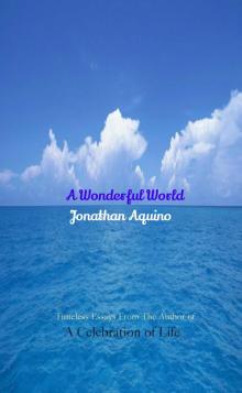 A Wonderful World Read online
