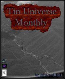 Tin Universe Monthly #8 Read online