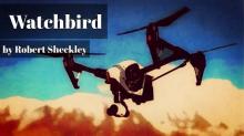 Watchbird Read online
