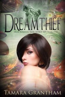 Dreamthief Read online