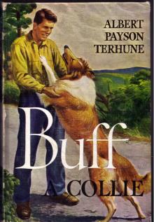 Buff: A Collie, and Other Dog-Stories