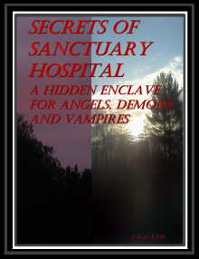 Secrets Of Sanctuary Hospital A Hidden Enclave For Angels, Demons, And Vampires Read online
