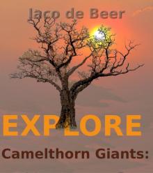 Camelthorn Giants: Explore