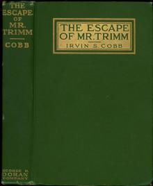 The Escape of Mr. Trimm Read online