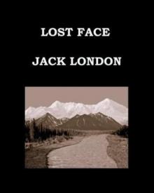 Lost Face Read online