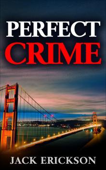 Perfect Crime Read online