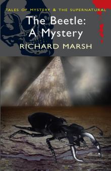 The Beetle: A Mystery Read online