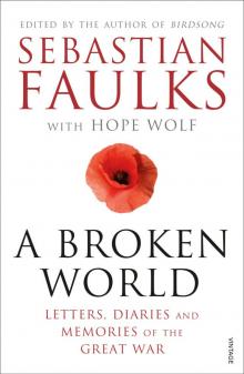 A Broken World: Letters, Diaries and Memories of the Great War Read online
