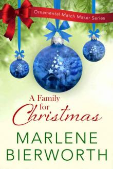 A Family for Christmas Read online