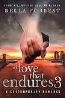 A Love that Endures 3 Read online