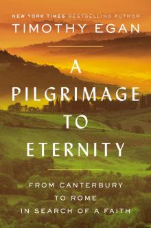 A Pilgrimage to Eternity Read online