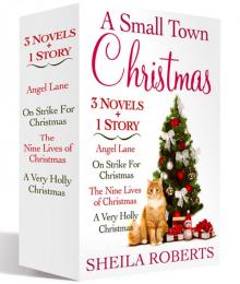 A Small Town Christmas Read online