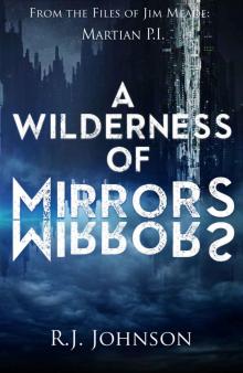 A Wilderness of Mirrors Read online