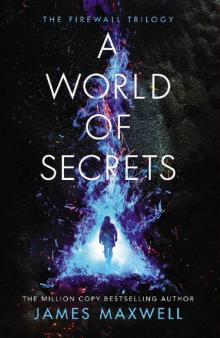 A World of Secrets (The Firewall Trilogy) Read online