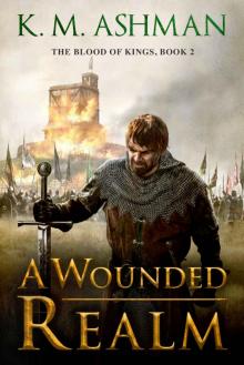 A Wounded Realm Read online