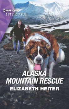 Alaska Mountain Rescue Read online