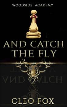 And Catch the Fly Read online