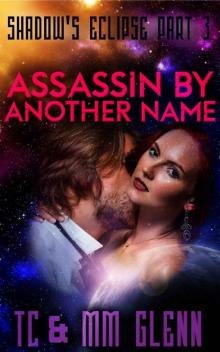Assassin by Another Name Read online