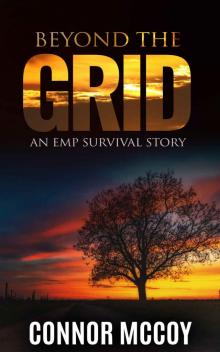 BEYOND THE GRID: An EMP Survival story Read online
