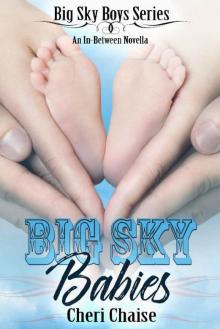 Big Sky Babies Read online