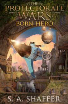 Born Hero Read online
