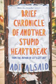 Brief Chronicle of Another Stupid Heartbreak Read online