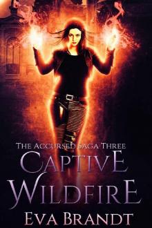 Captive Wildfire: A Dark Paranormal Reverse Harem Romance (The Accursed Saga Book 3) Read online