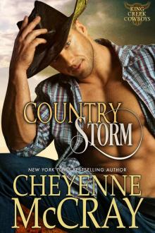 Country Storm Read online