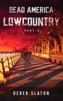 Dead America: Lowcountry | Book 3 | Lowcountry [Part 3] Read online