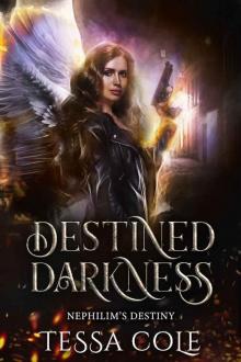 Destined Darkness Read online