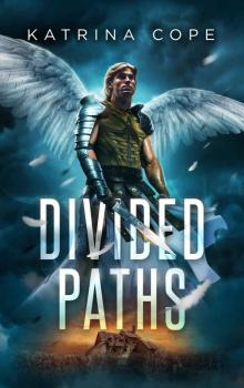 Divided Paths Read online
