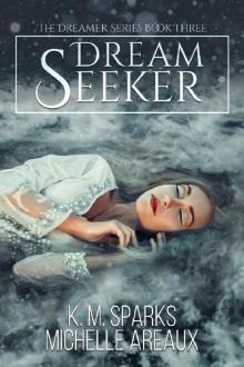 Dream Seeker (The Dream Catcher Series Book 3) Read online