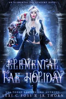 Elemental Fae Holiday: A Why Choose Paranormal Romance (Elemental Fae Academy Book 4) Read online