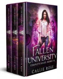Fallen University Complete Series Read online