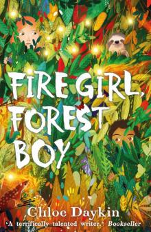 Fire Girl, Forest Boy Read online