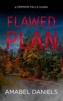 Flawed Plan (A Crimson Falls Novella) Read online