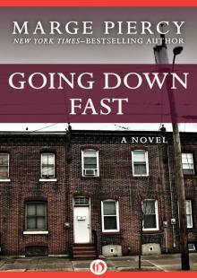 Going Down Fast: A Novel