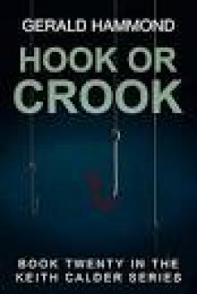 Hook or Crook Read online