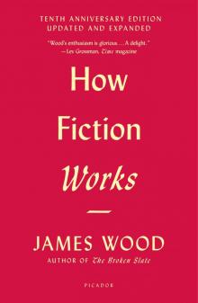 How Fiction Works (Tenth Anniversary Edition) Read online
