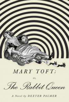 Mary Toft; or, the Rabbit Queen Read online