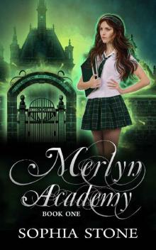 Merlyn Academy: Book One Read online