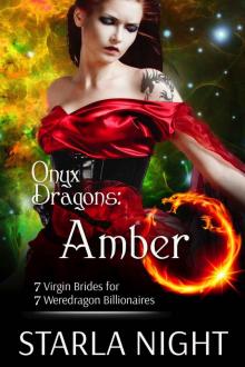 Onyx Dragons- Amber Read online